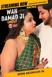 Wah Damad Ji 2024 NeonX Short Film Download Wah Damad Ji 2024 NeonX Short Film Download (2024)