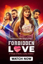 Forbidden Love 2024 Hindi Movie HDRip Download Forbidden Love 2024 Hindi Movie HDRip Download (2024)